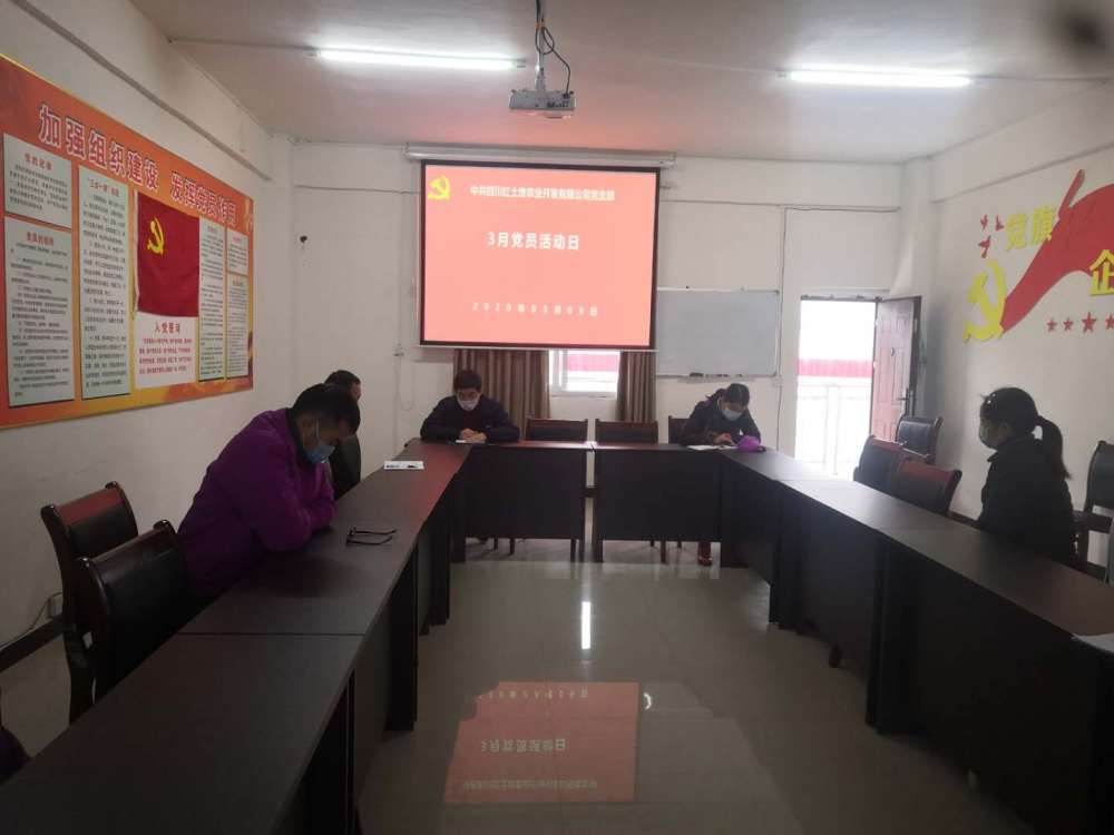 3月黨員活動(dòng)日(圖1)