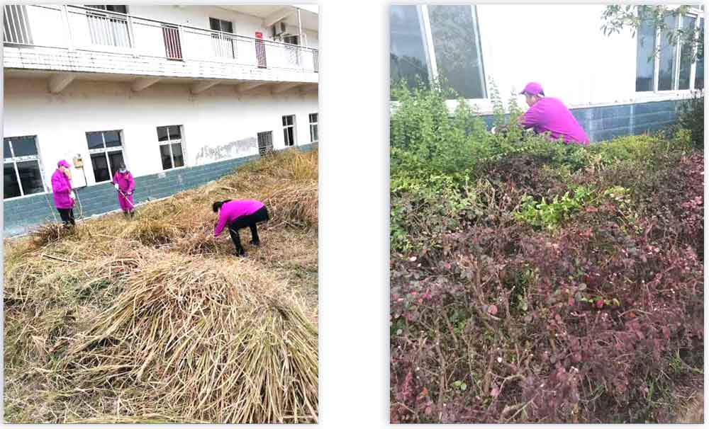 【紅土地信息第2期】開展“堅定信念服務(wù)群眾，發(fā)揮作用爭做先鋒”主題黨日活動(圖4)