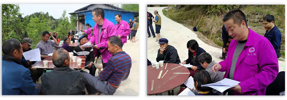 紫薯高產(chǎn)優(yōu)質(zhì)栽培技術(shù)培訓(xùn)會(huì)(圖1)