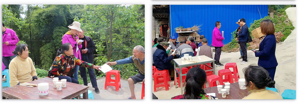 紫薯高產(chǎn)優(yōu)質(zhì)栽培技術(shù)培訓(xùn)會(huì)(圖2)