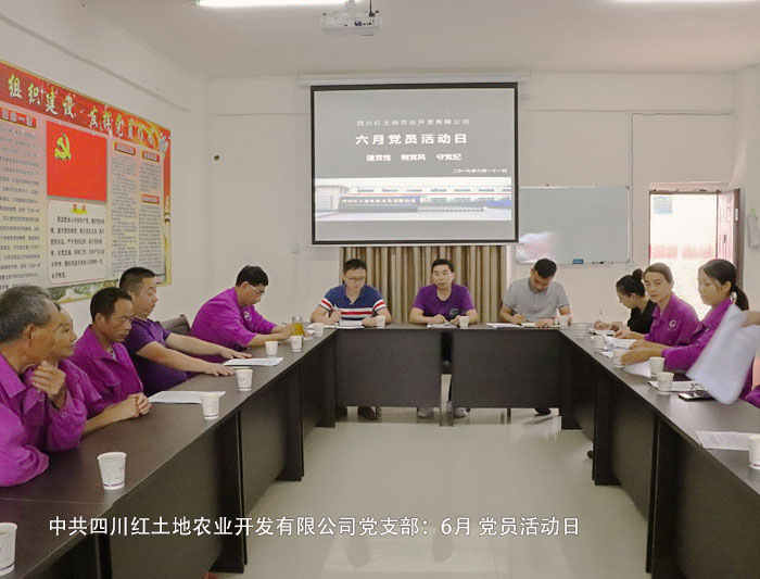 六月“黨員活動(dòng)日”工作情況綜述(圖1)