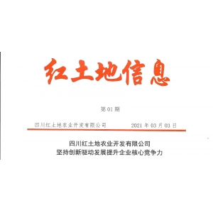 【紅土地信息01期】堅(jiān)持創(chuàng)新驅(qū)動(dòng)發(fā)展提升企業(yè)核心競(jìng)爭(zhēng)力