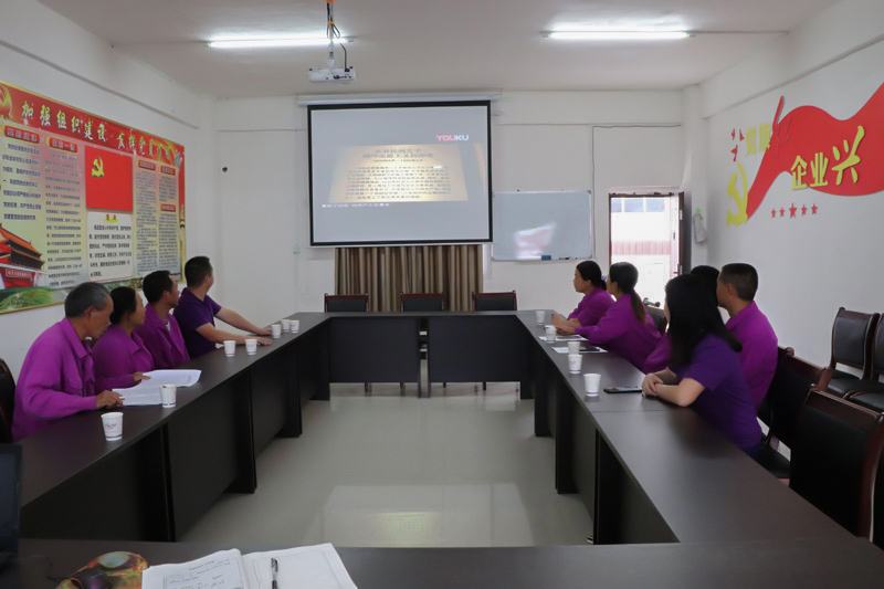 六月“黨員活動(dòng)日”工作情況綜述(圖4)