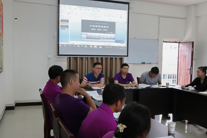 六月“黨員活動(dòng)日”工作情況綜述(圖3)