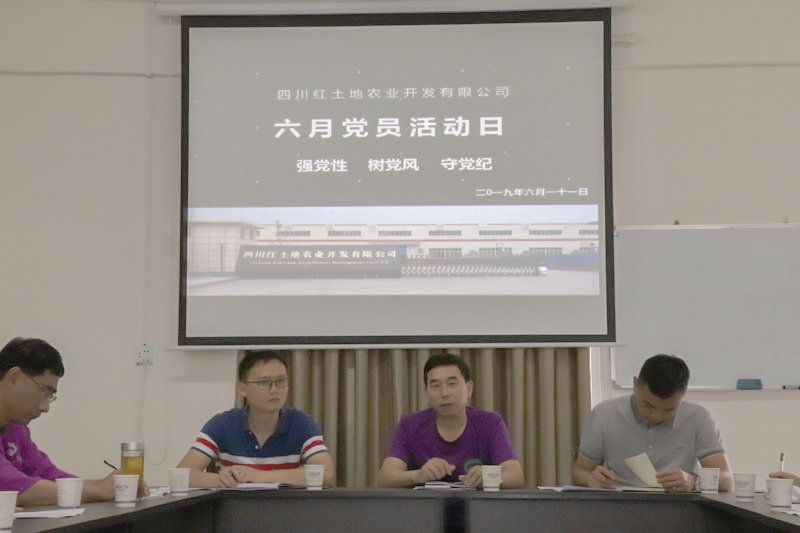 六月“黨員活動(dòng)日”工作情況綜述(圖2)